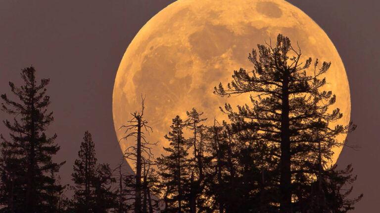 Super Lua